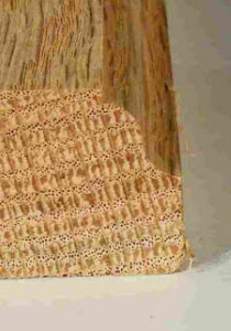 roman-ogee-bit-example1-300h2 5/32″ Roman Ogee Bit example