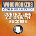 Download Controlling Color with Success