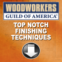 Download Top Notch Finishing Techniques